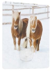 Pony "Magic Hook" Selbsthaftender Haken