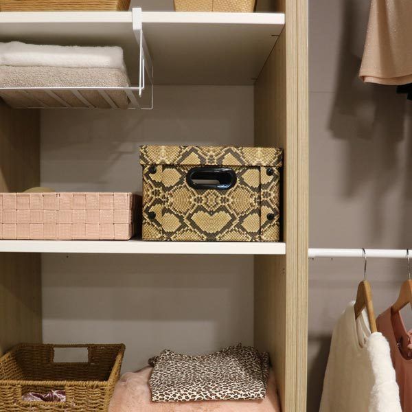 "Python" Karton Aufbewahrungsbox mit Druckknöpfen 6 Compactor