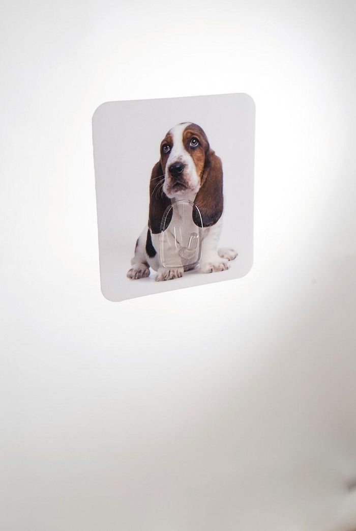 Hund "Magic Hook" Selbsthaftender Haken 2 Compactor