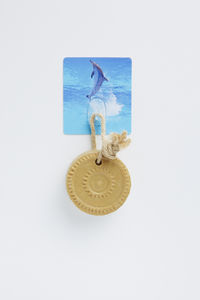 Delphin "Magic Hook" Selbsthaftender Haken