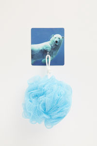 Eisbär "Magic Hook" Selbsthaftender Haken