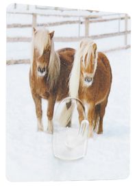 Pony "Magic Hook" Selbsthaftender Haken