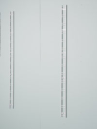 Walltech Hauswirtschaftsraum Lange Leiter-Regal Schiene